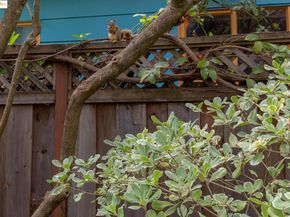 3860 Greenwood Ave, Oakland CA 94602