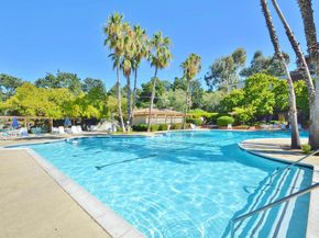 320 N Civic Dr 307, Walnut Creek CA 94596