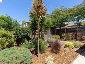4210 Gilbert St, Oakland CA 94611