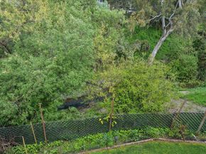 22537 Center St, Castro Valley CA 94541