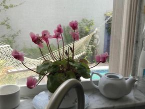 10135 SW 156th Ave, Miami FL 33196