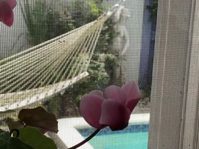 10135 SW 156th Ave, Miami FL 33196