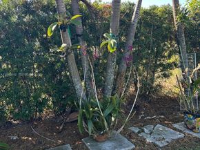 20501 NW 30th Ave, Miami Gardens FL 33056