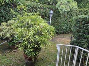 345 Malaga Ave, Coral Gables FL 33134