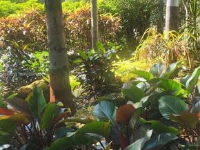 1423 Holly Heights Dr 17, Fort Lauderdale FL 33304