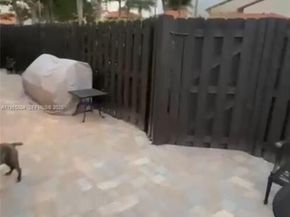 5726 Fox Hollow Dr A, Boca Raton FL 33486