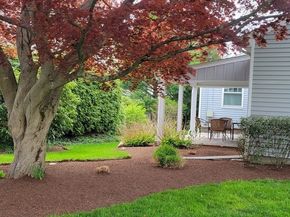 294 Great Plain Ave, Needham MA 02492