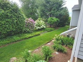 294 Great Plain Ave, Needham MA 02492