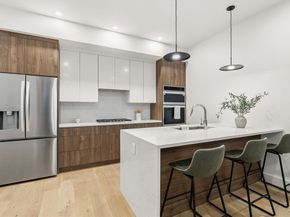 47 Condor 202, Boston MA 02128