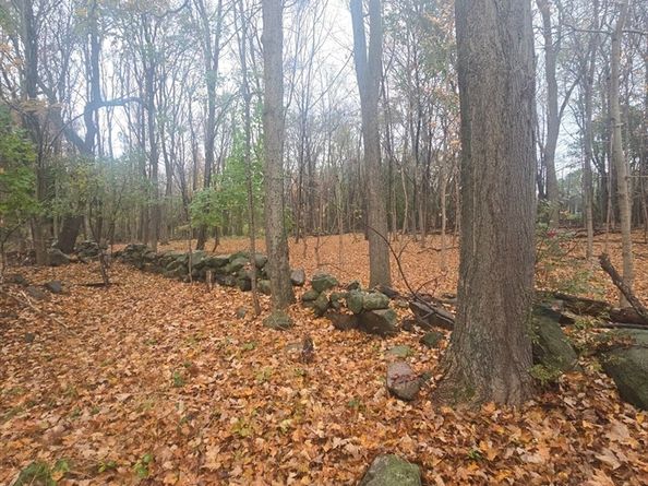 79 Hillside Street, Milton MA 02186