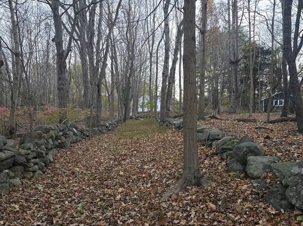 79 Hillside Street, Milton MA 02186