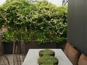 27 Wareham St PH6, Boston MA 02118