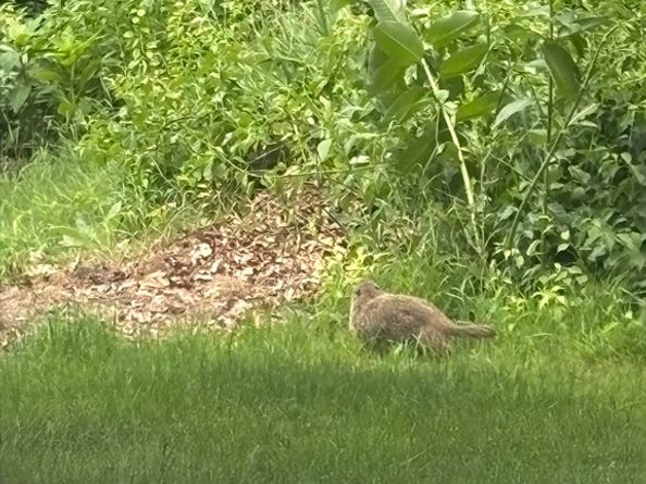 72 Charlton St, Oxford MA 01540