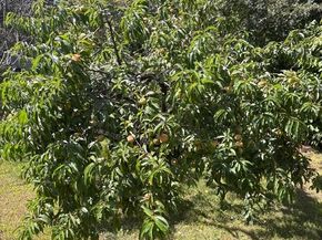 72 Charlton St, Oxford MA 01540