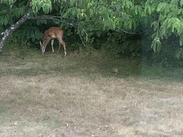 72 Charlton St, Oxford MA 01540