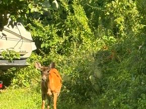 72 Charlton St, Oxford MA 01540