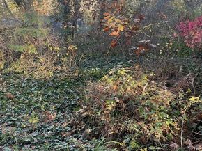 14 Wisteria Street, Lakeville MA 02347