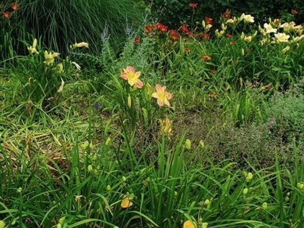 36 Sunrise Ave, Leominster MA 01453