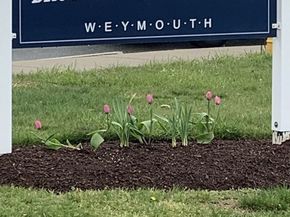 215 Winter St 1P, Weymouth MA 02188