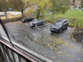 51 Melrose Street 1C, Melrose MA 02176