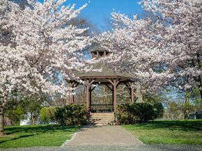 19 Prospect Ridge APT 14, Ridgefield CT 06877
