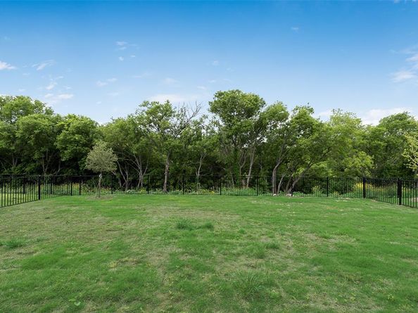 14020  Alfafar Court , Little Elm Texas 75068