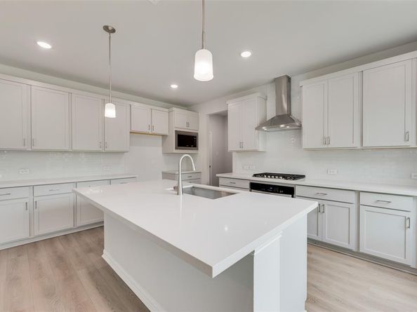 14020  Alfafar Court , Little Elm Texas 75068