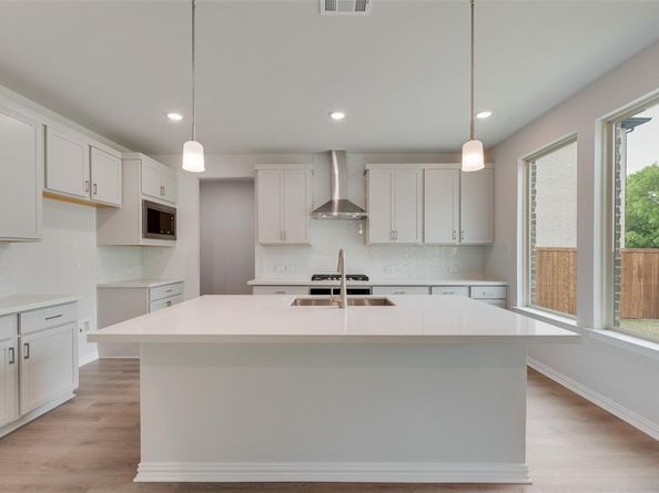 14020  Alfafar Court , Little Elm Texas 75068