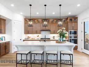 2039  Benedetto Way , McLendon Chisholm Texas 75032