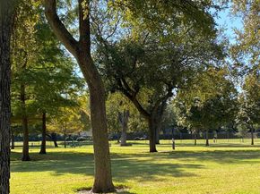 7111  Hill Forest Drive , Dallas Texas 75230