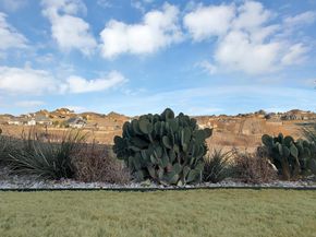 12233  Bella Palazzo Drive , Fort Worth Texas 76126