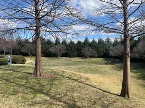 628  Raford Hill Lane , Richardson Texas 75081