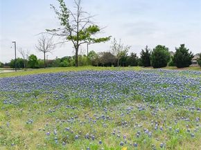 520  Alden Way , Allen Texas 75013