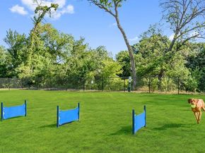 1107  Worthington Drive , Justin Texas 76247