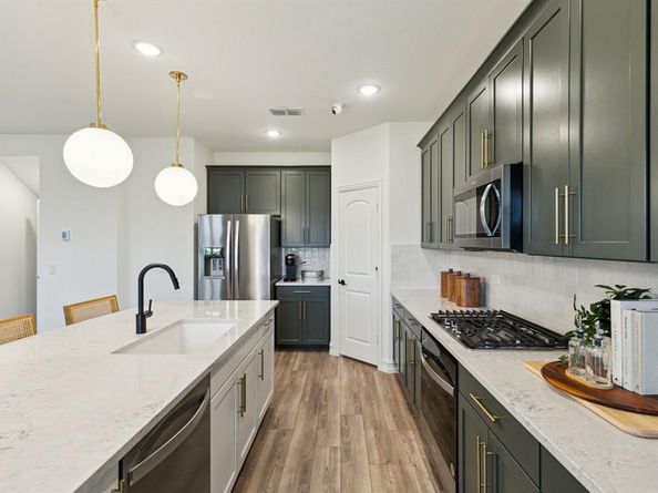3900  Lynx Court , Little Elm Texas 76227