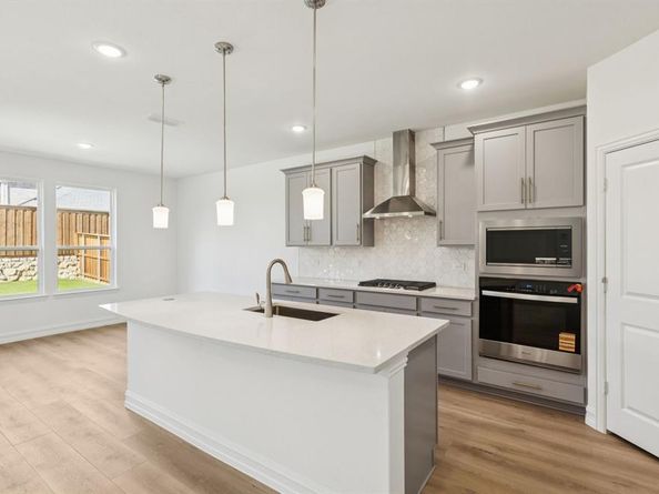 3900  Lynx Court , Little Elm Texas 76227
