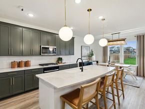 3900  Lynx Court , Little Elm Texas 76227