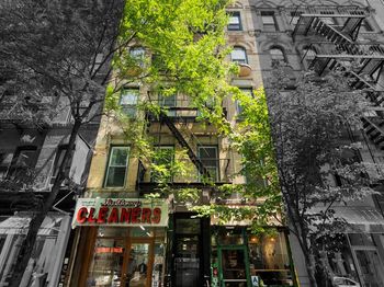232 Mulberry Street