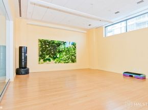 11-02 49th Avenue 8A, Queens NY 11101