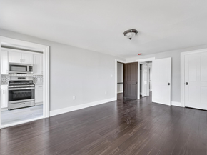 125 Mac Donough Street, Brooklyn NY 11216