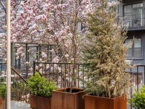 49 East 126th Street, New York NY 10035
