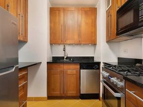 305 East 24th Street 9N, New York NY 10010