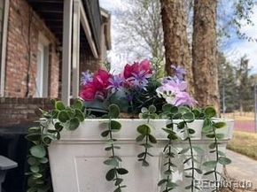 4226 S Granby Street D, Aurora CO 80014