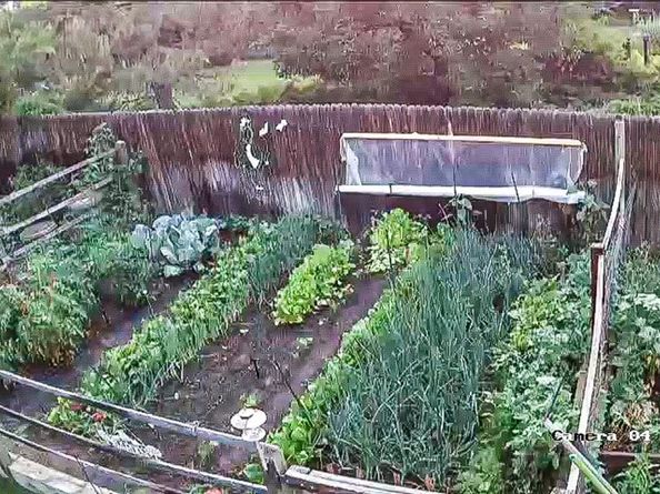 12254 W Arlington Avenue, Littleton CO 80127