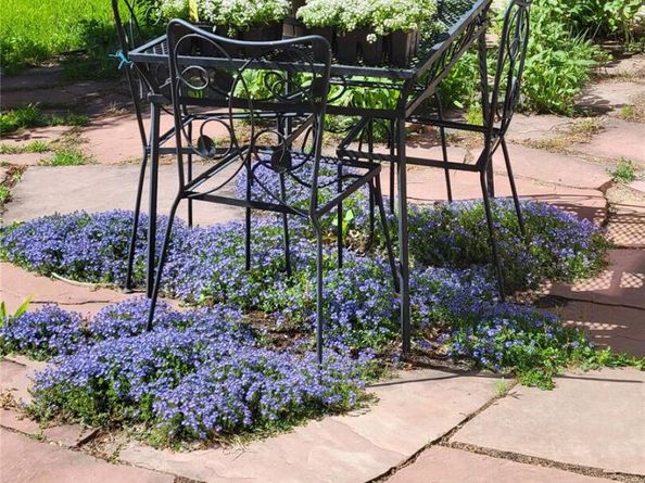 12254 W Arlington Avenue, Littleton CO 80127