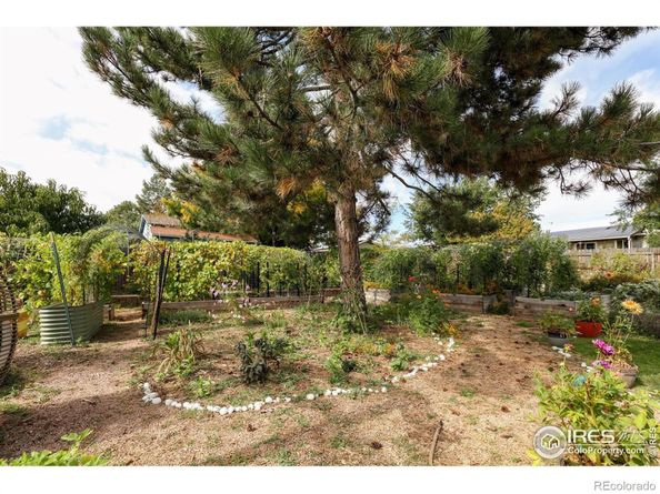 10741 Owens Street, Broomfield CO 80021