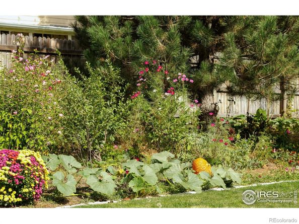 10741 Owens Street, Broomfield CO 80021