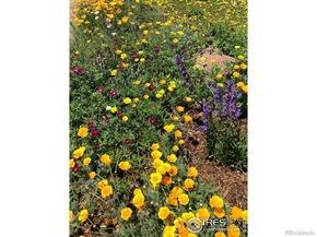 1190 Albion Road, Boulder CO 80305