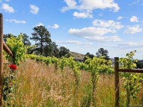 1044 S Grapevine Road, Golden CO 80401