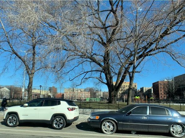 755 Oakland Place 2E, Bronx NY 10457